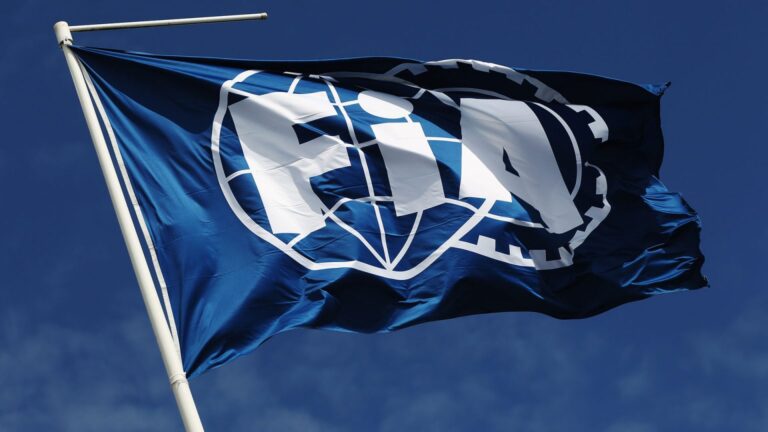 FIA、新アシスタントレースディレクター就任を発表