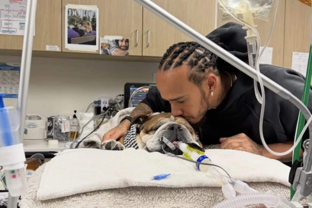 lewis hamilton roscoe