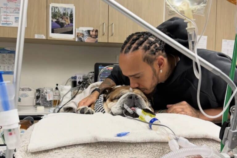 lewis hamilton roscoe